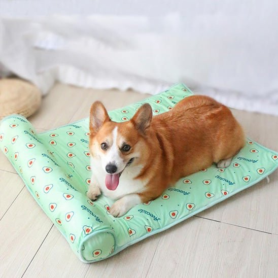 chien allonge sur tapis rafraichissant pour chien decore