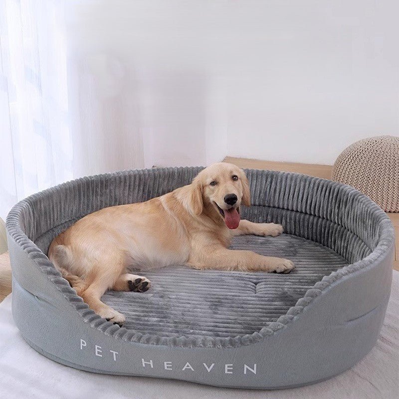chien allonger dans panier chien forme ovale gris salon