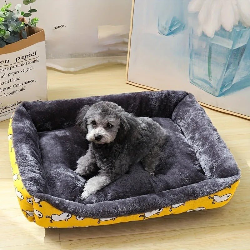 chien assis dans panier chien confort moelleux