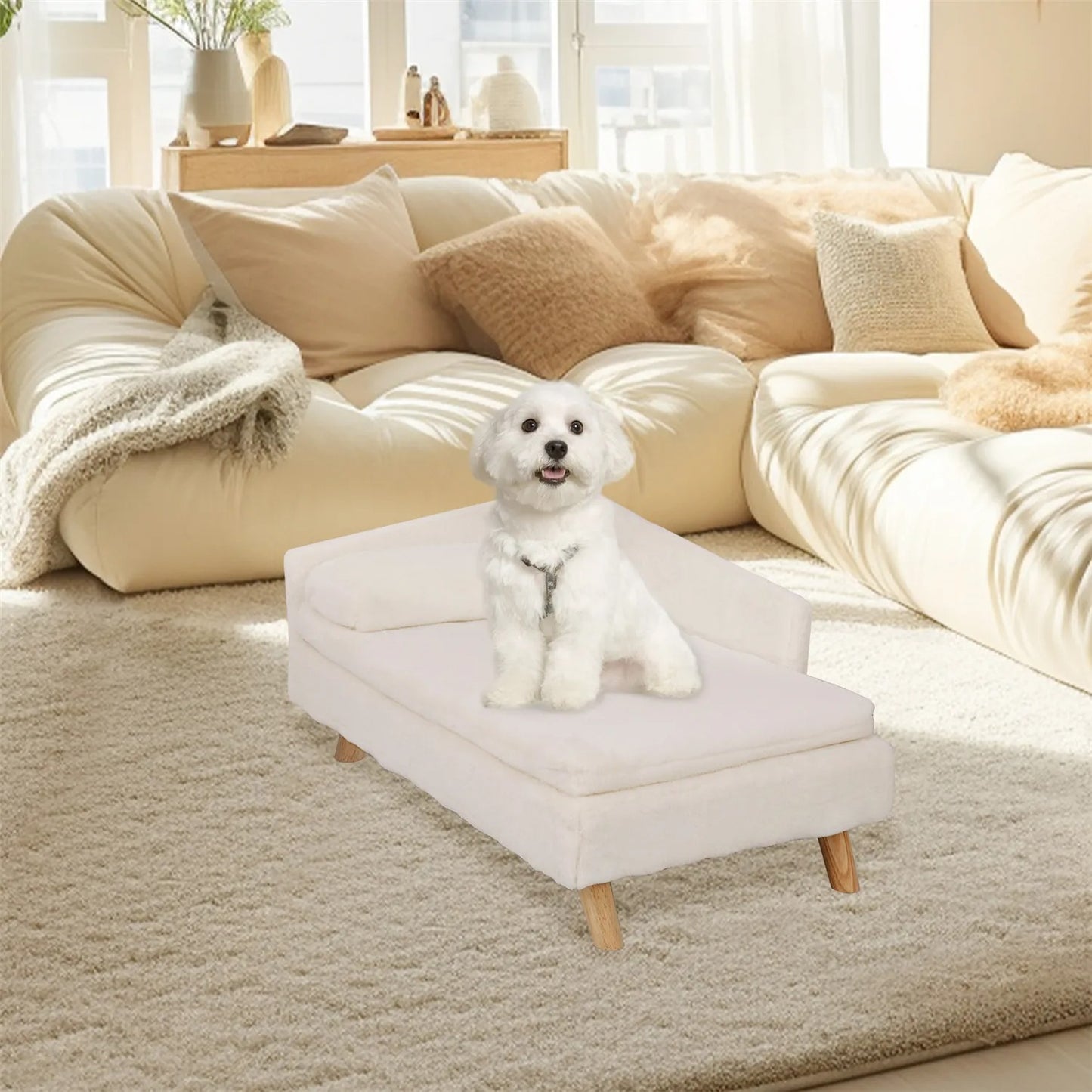 chien assis sur canapé pour chien maison chic