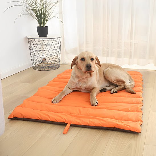 chien assis tranquillement sur tapis pour chien portable