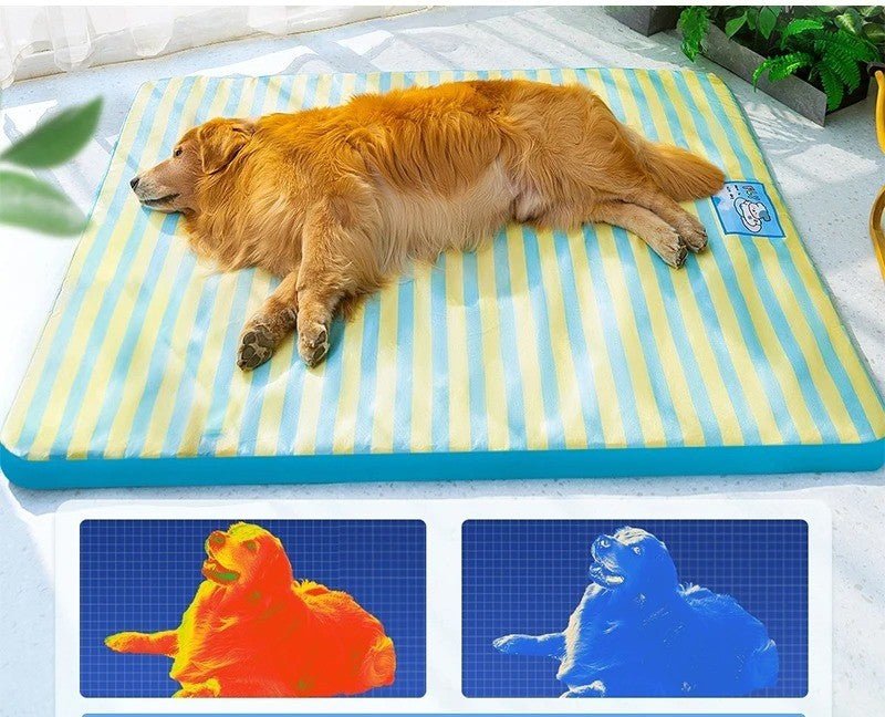 Informations
Nom
chien assoupi son tapis rafraichissant chien ete montre differant temperature