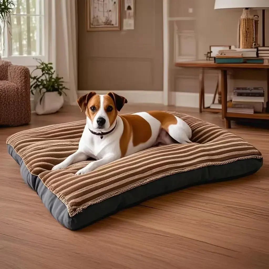 content dans lit pour chien couchage polaire dans salon