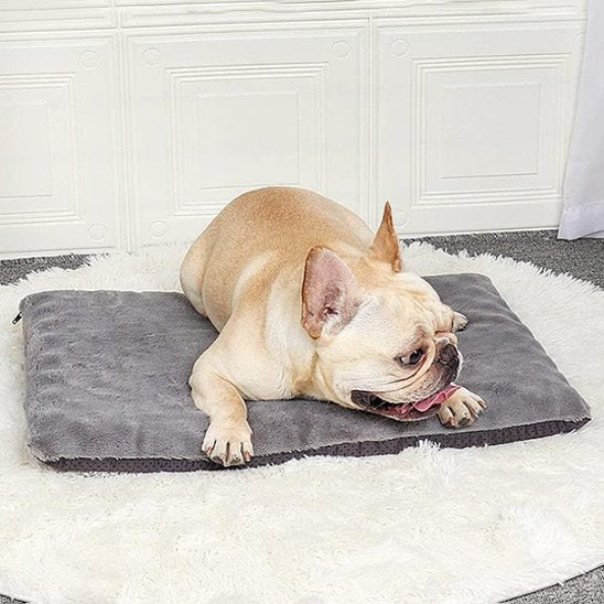 chien couché sur tapis pour chien