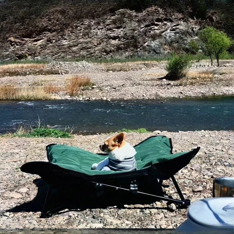 chien dans lit de camp chien randonner