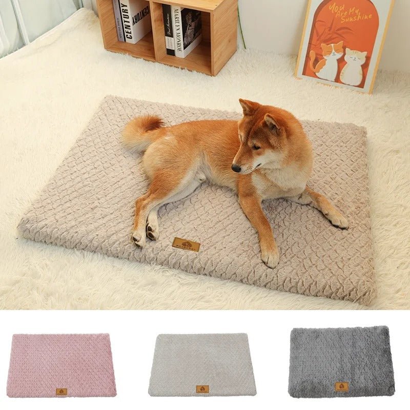 chien dans lit pour chien en mousse 3D trois couleur