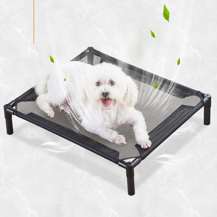 chien dans lit surleve chien noir