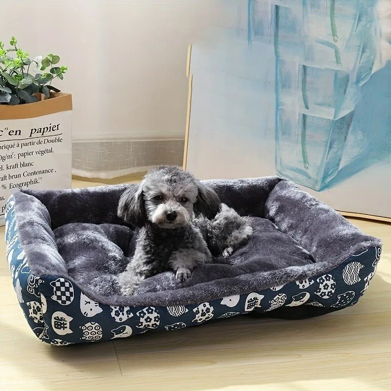 chien dans panier chien confort moelleux