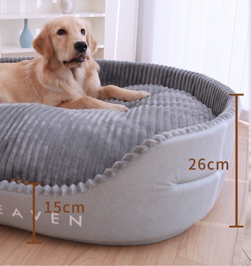 chien dans panier chien forme ovale