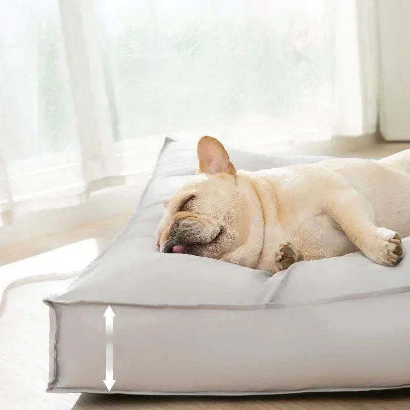 chien détendu dans coussin pour chien blanc chic