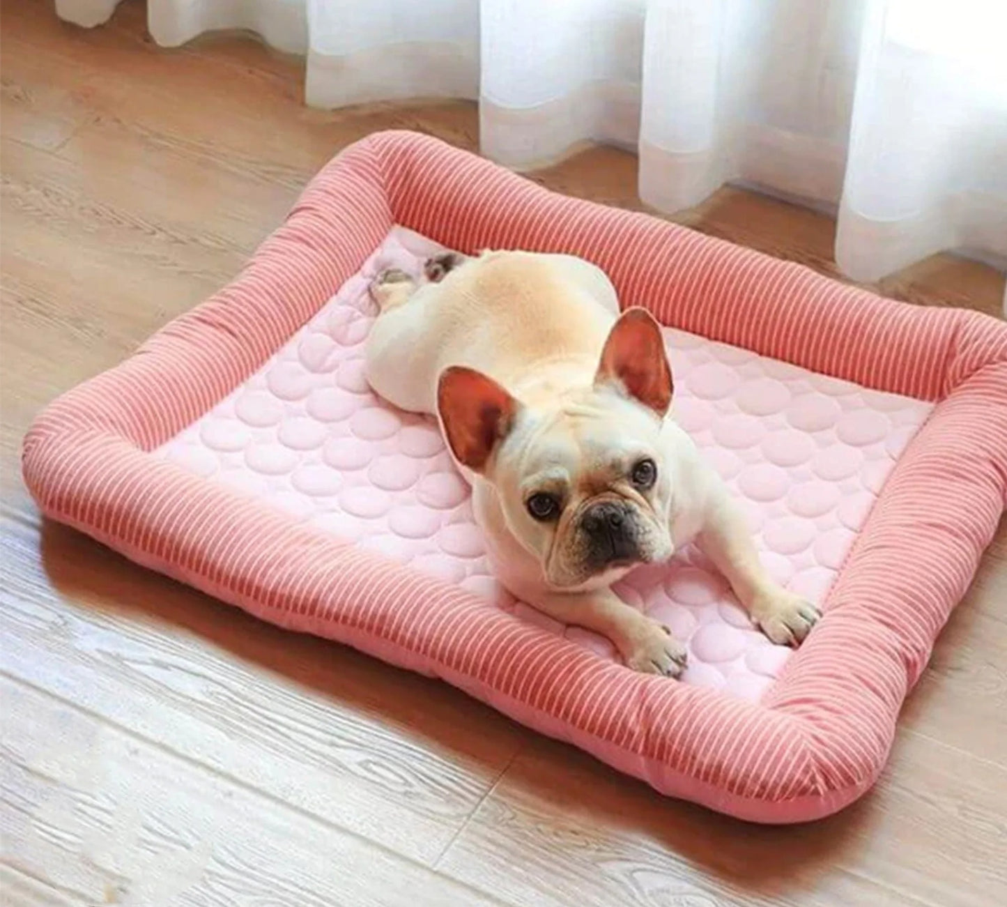 chien dort tapis rafraichissant chien rose en soie