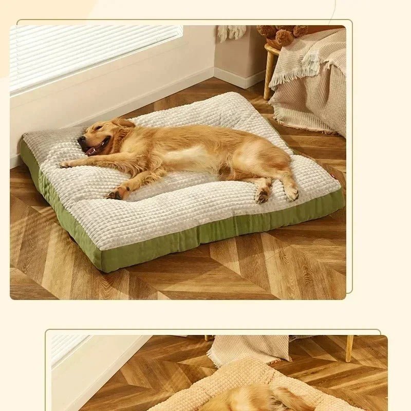 chien endormi dans lit pour chien couchage polaire vert cafe