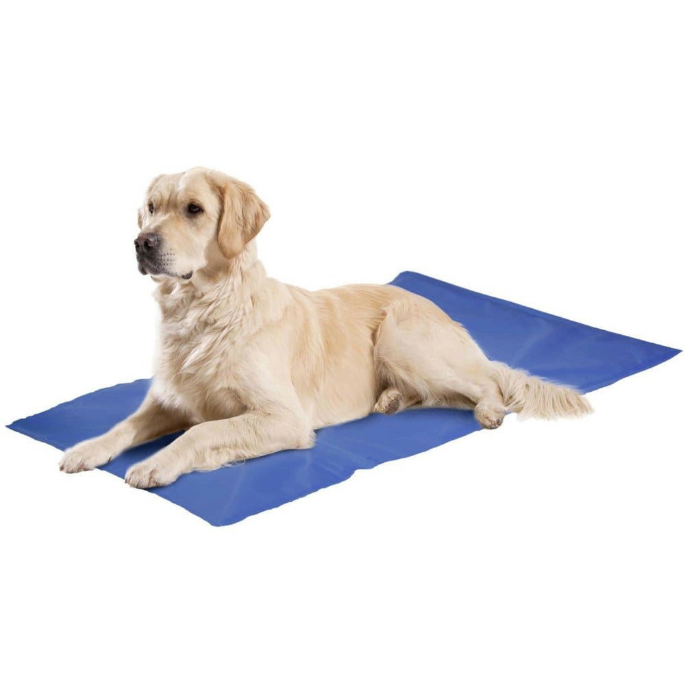 chien fraicheur son tapis rafraichissant chien autorefroidissant