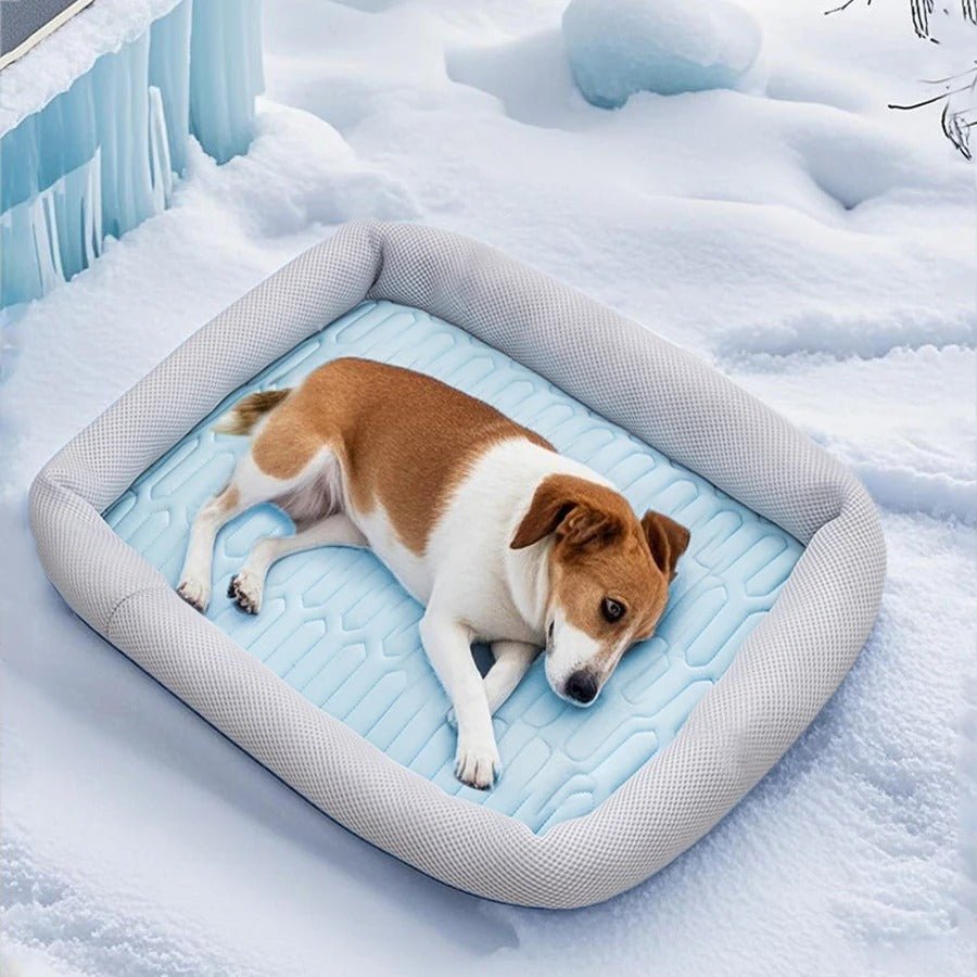 chien repose dans tapis rafraichissant chien naturel sans gel