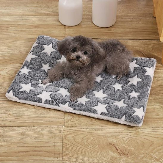 confortablement allonge sur son tapis pour chien