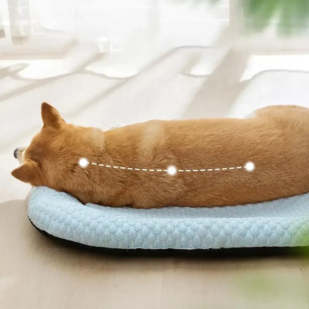 coussin rafraichissant chien avec soutien cervicale