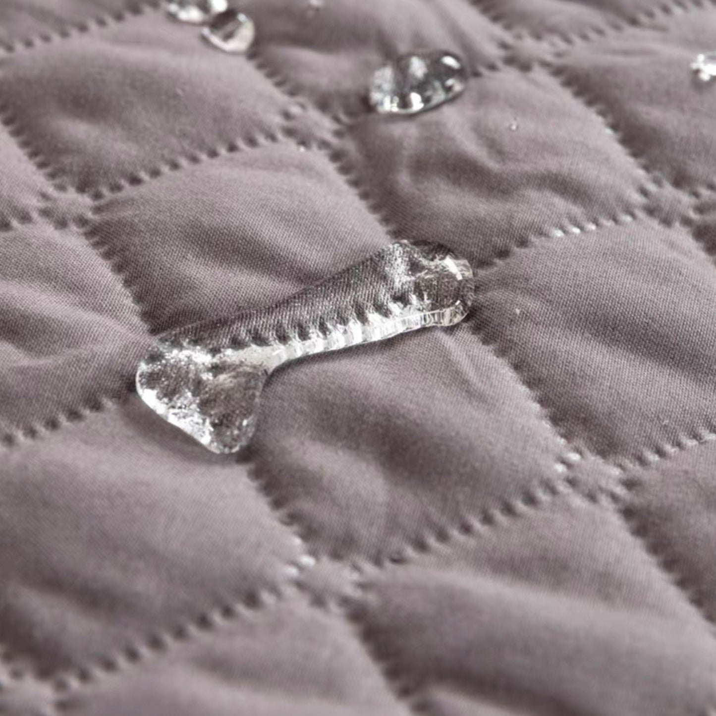 couverture chien imperméable lavable
