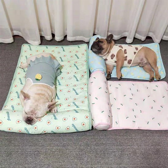 deux Bouledogues dorment dans tapis rafraichissant pour chien