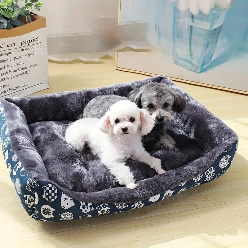deux chiens dans panier chien confort moelleux
