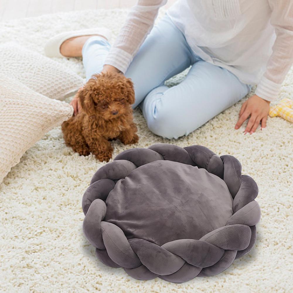 femme son chien cote coussin chien avec des tresse