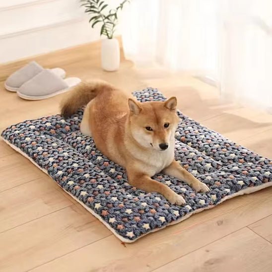 grand chien se repose sur son tapis pour chien