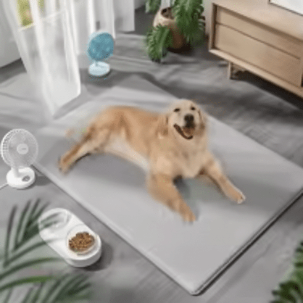 golden retriever allonge sur tapis rafraichissant chien gris dans salon moderne