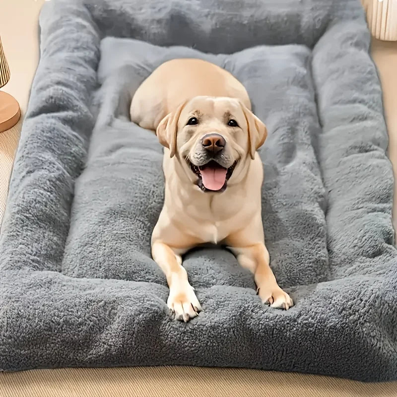 lit pour chien Ortopedique gris doux