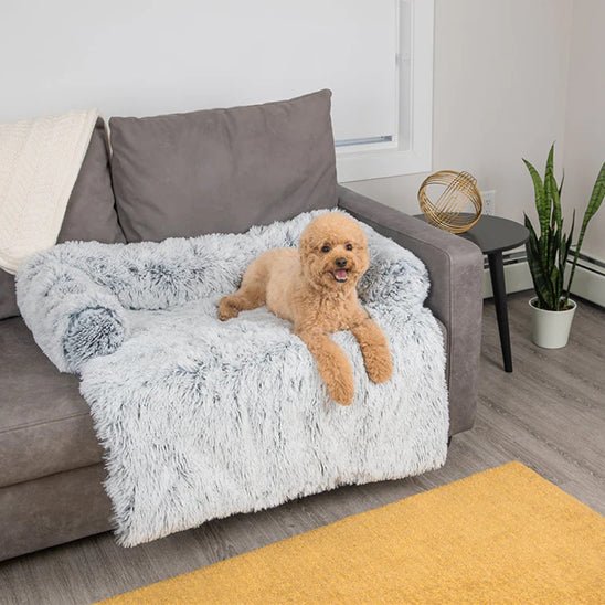 lit pour chien chaud apaisant dans salon