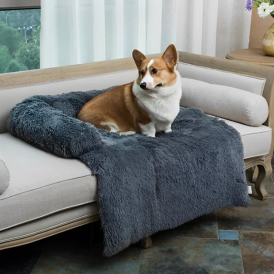 lit pour chien chaud apaisant sur canape