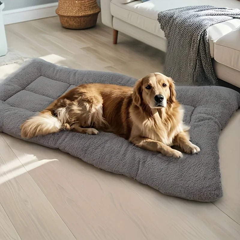 lit pour chien orthopedique dans salon