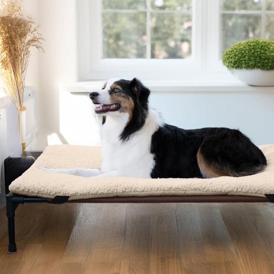 LIT POUR CHIEN SURELEVE -COUCHAGE RESPIRANT