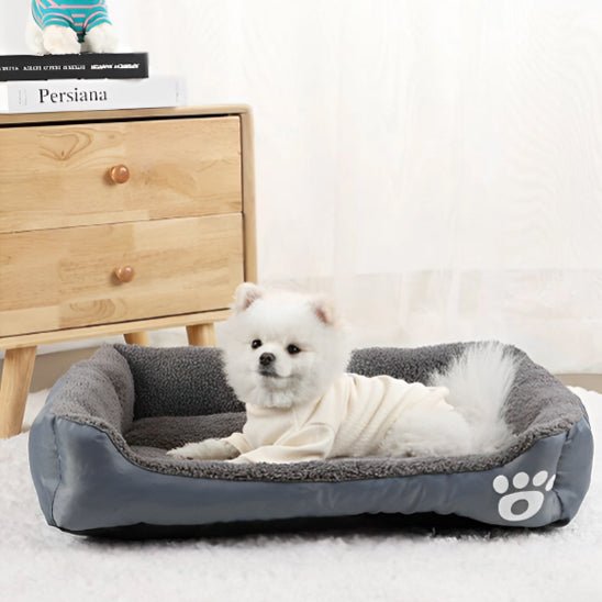 panier pour chien gris patte chat