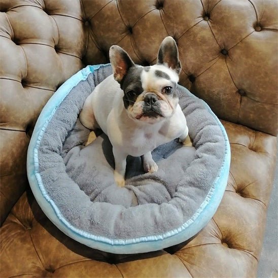 panier pour chien relaxant sur canape