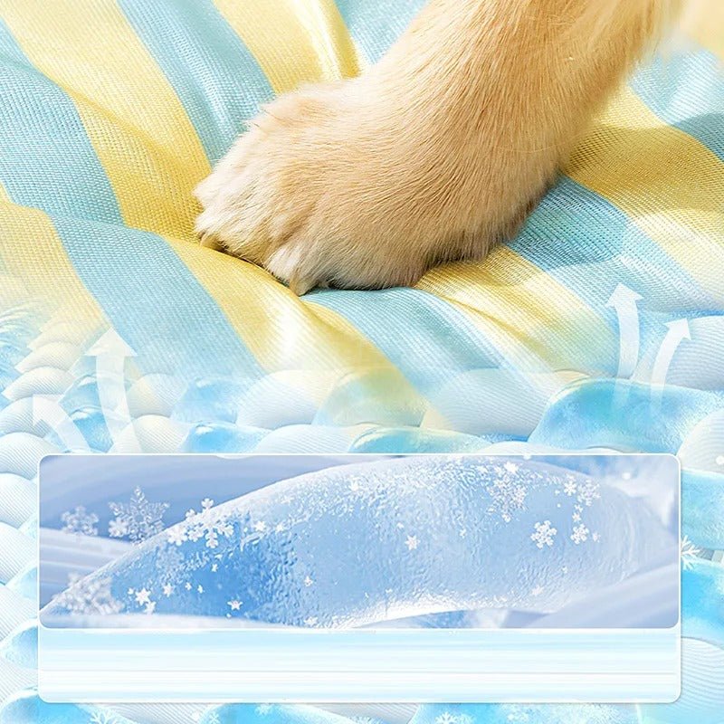 pate chien sur tapis rafraichissant ete bleu