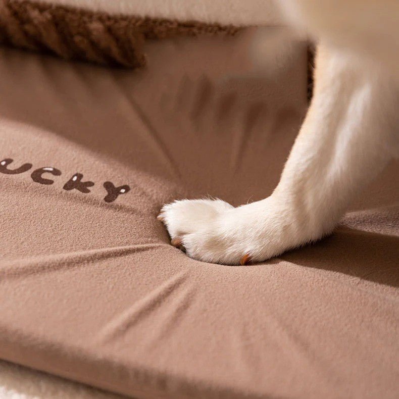 patte de chien sur matelas niche pour chien marron