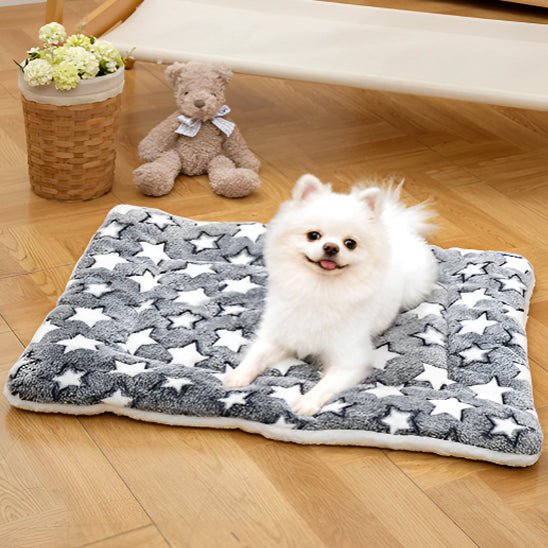 petit chien detendu sur son tapis pour chien