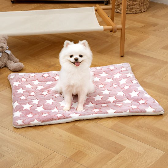 tapis pour chien confortable