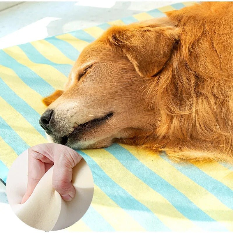 tete chien completement en dormi son tapis rafraichissant ete