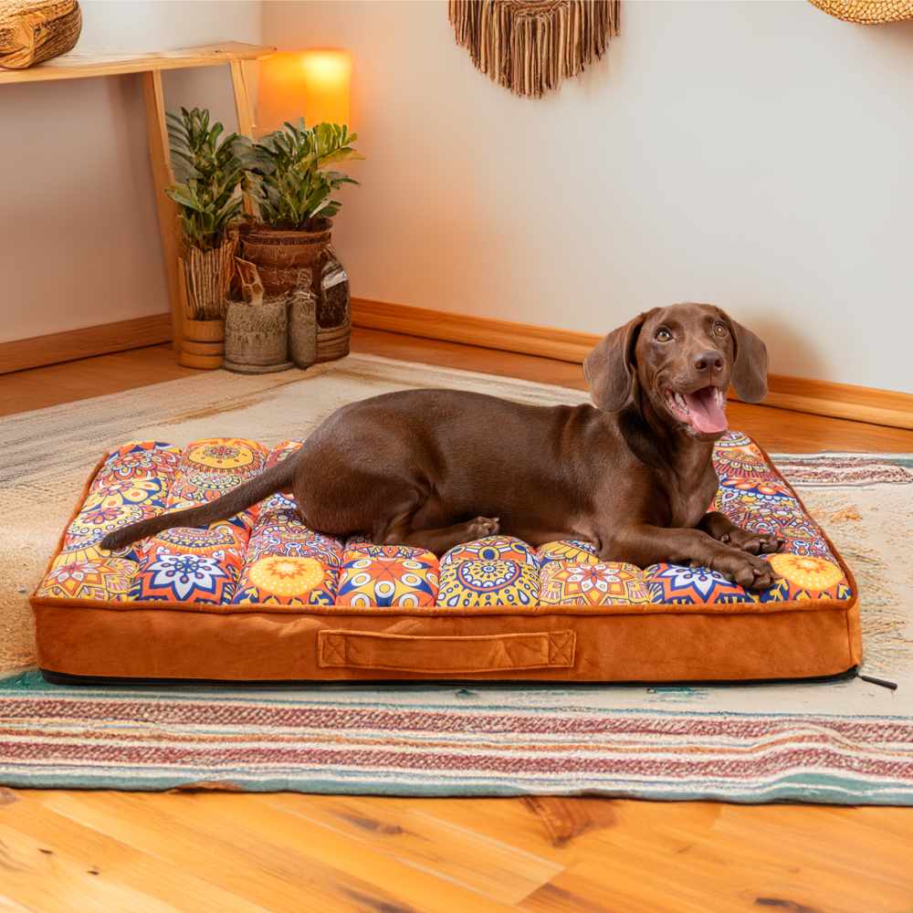 toutou content sur lit XXl pour chien sur tapis orientale