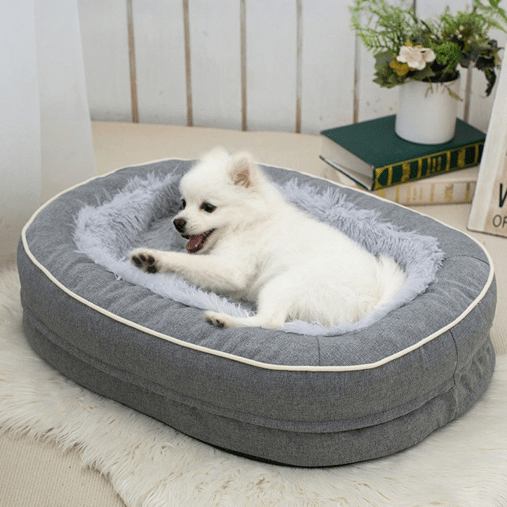 toutou dans canape orthopédique pour chien déhoussable