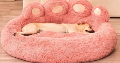 toutou dort dans coussin chien forme patte 