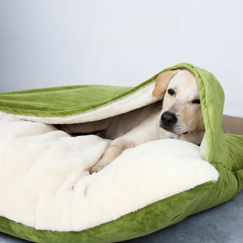 toutou caché dans coussin pour chien déhoussable vert 