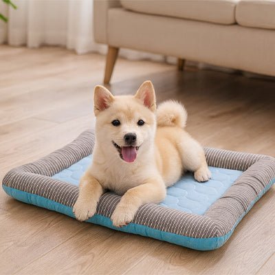 Chien confortablement installé sur tapis rafraîchissant bleu et gris avec rebord