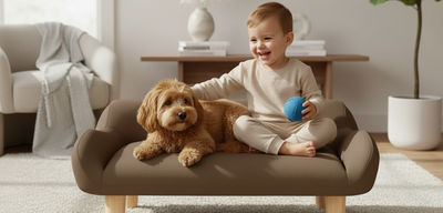Enfant avec son chien dans un canapé pour chien confortable