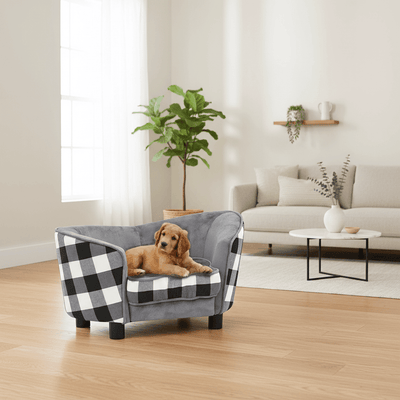 Canapé pour chien XXL confortable - Guide complet 2026 pour grands chiens