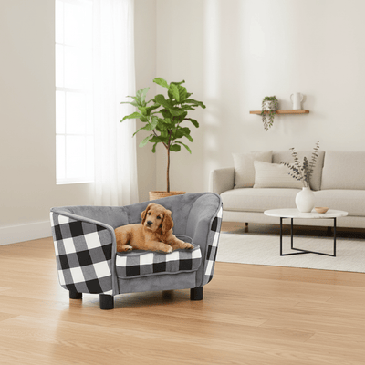 Canapé pour chien XXL confortable - Guide complet 2026 pour grands chiens