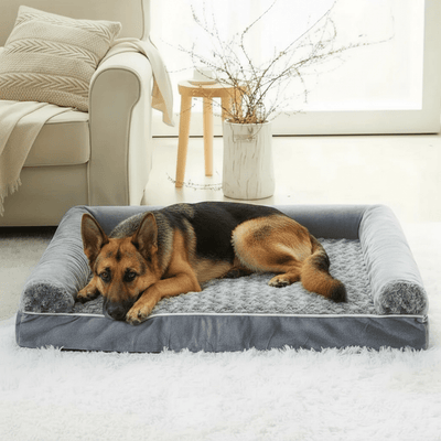 toutou allonger sur canape pour chien xxl