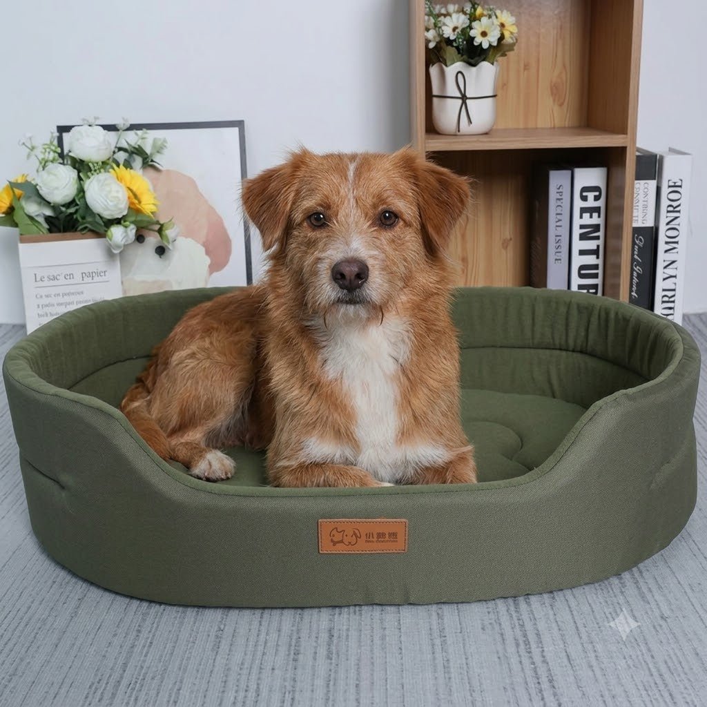 Le Guide Complet du Coussin  Orthopédique Pour Chien