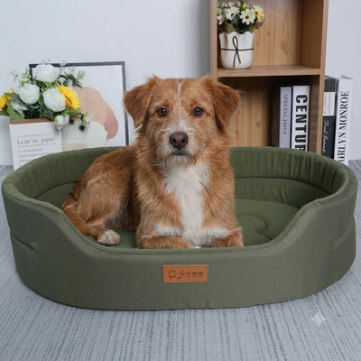 Le Guide Complet du Coussin  Orthopédique Pour Chien