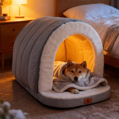 Quelle Niche Igloo pour un Chien ? Guide Complet